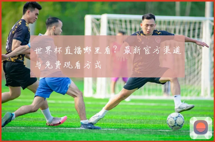 世界杯直播哪里看？最新官方渠道与免费观看方式