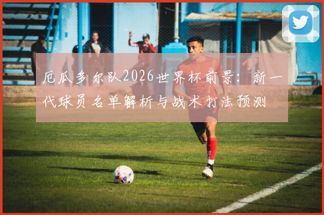 厄瓜多尔队2026世界杯前景：新一代球员名单解析与战术打法预测